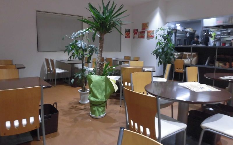 ポンポン キッチン＆カフェの観葉植物